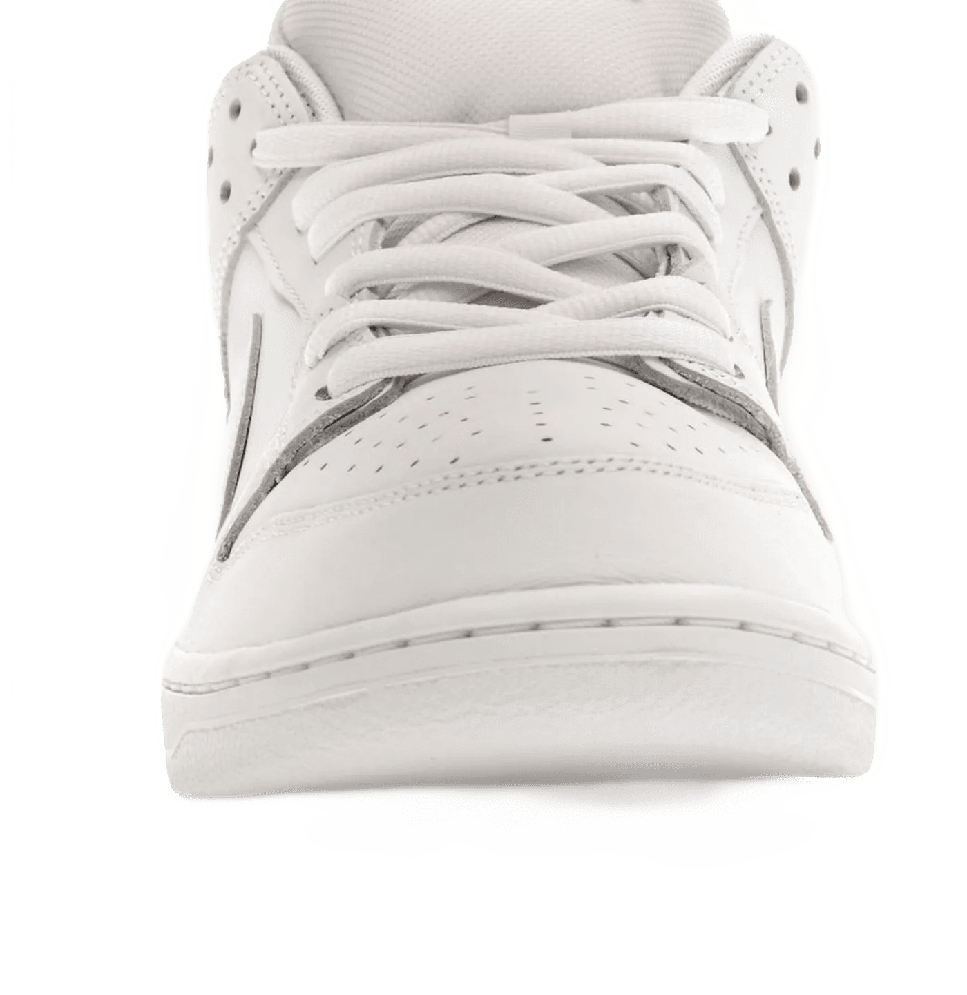 SB Dunk Low Pro Triple White - FJ1674-100