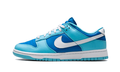 Nike Dunk Low Argon - DM0121-400